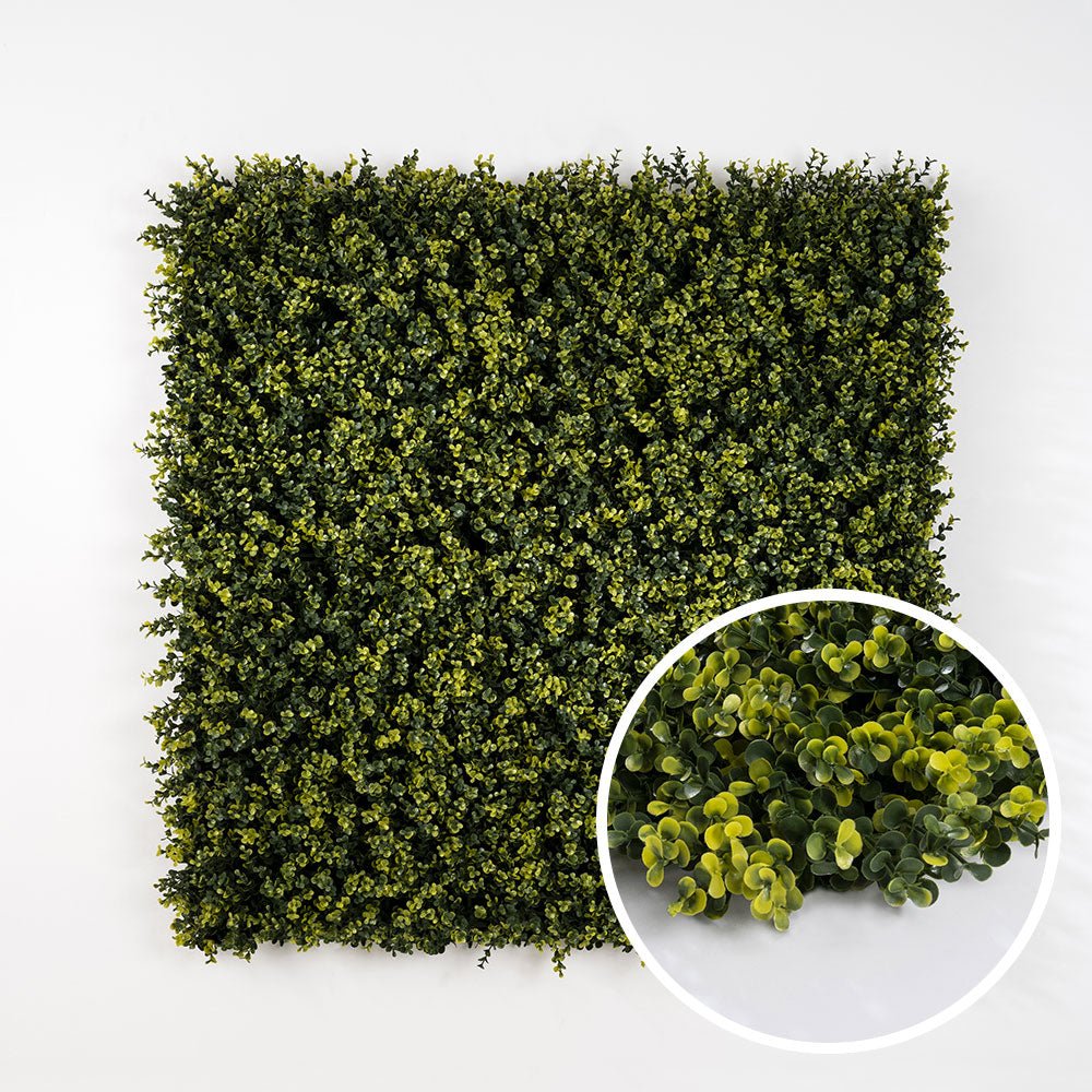 Buis - Green Upp