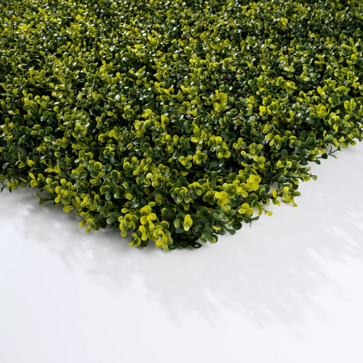Buis - mur végétal artificiel - Green Upp