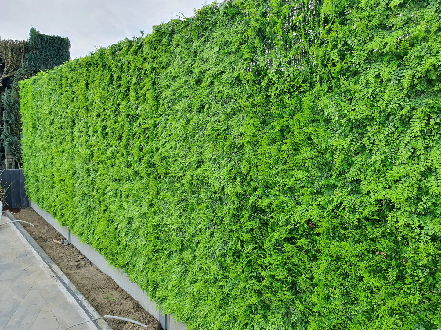Fougère - mur végétal artificiel - Green Upp