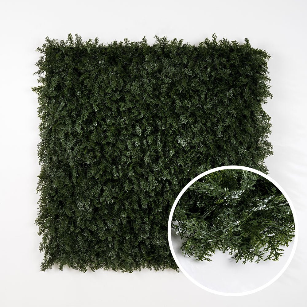 Thuya - Green Upp
