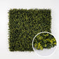 Buis - Green Upp