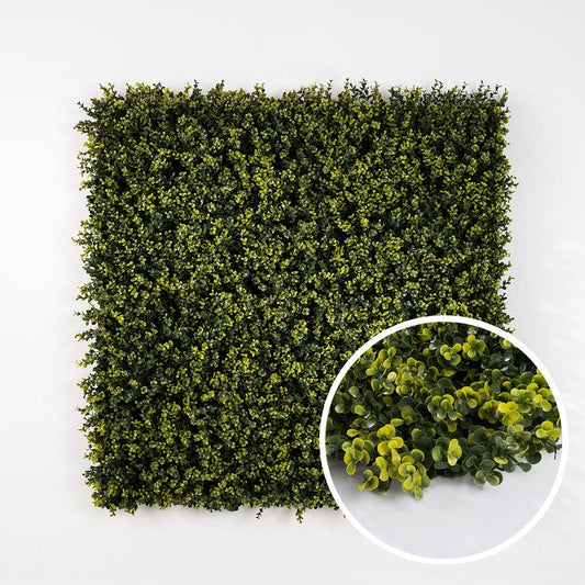 Buis - Green Upp