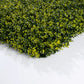 Buis - mur végétal artificiel - Green Upp