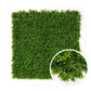 Buisson - Green Upp
