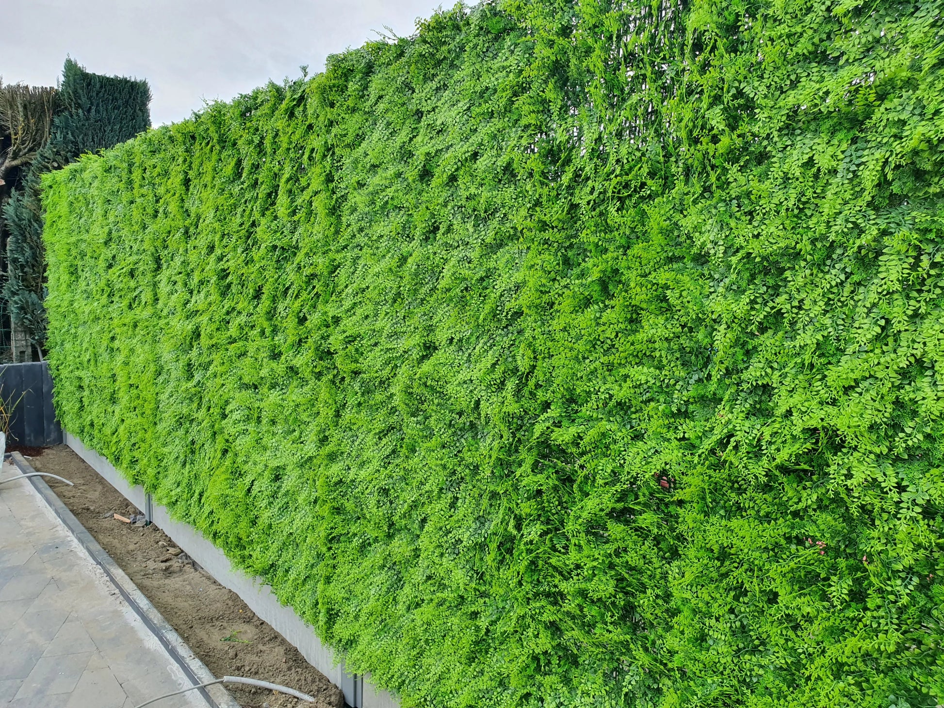 Fougère - mur végétal artificiel - Green Upp