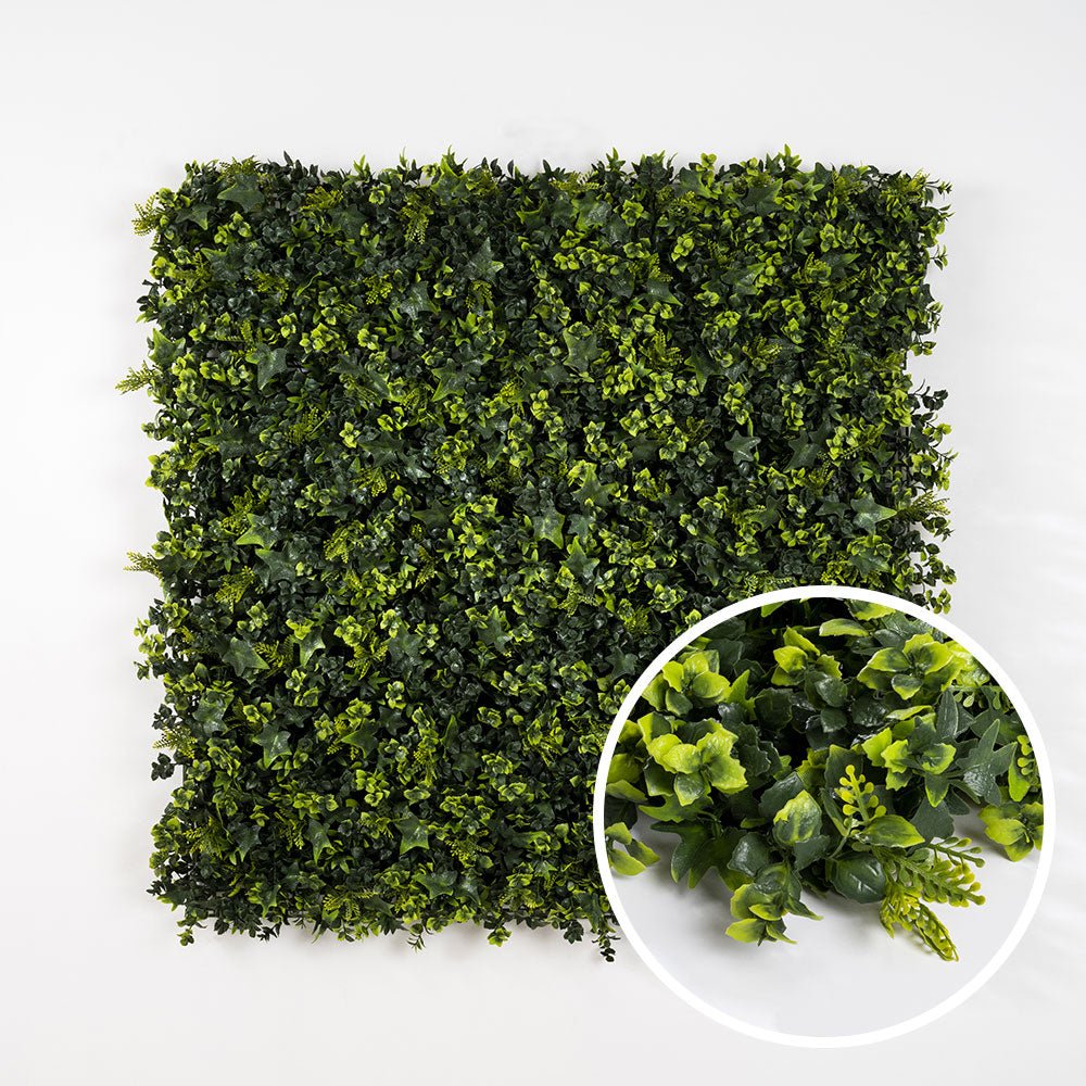 Lierre - Green Upp