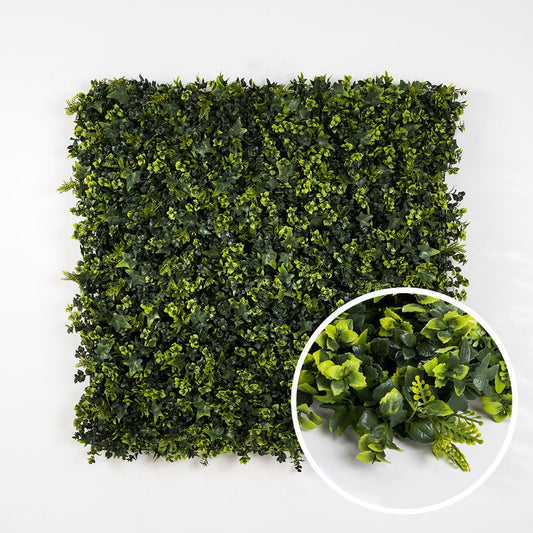 Lierre - Green Upp