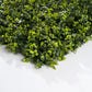 Lierre - mur végétal artificiel - Green Upp