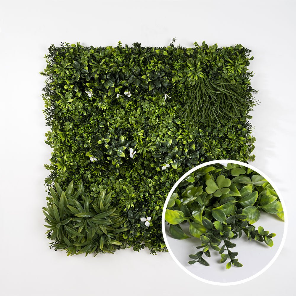 Liseron Blanc - Green Upp