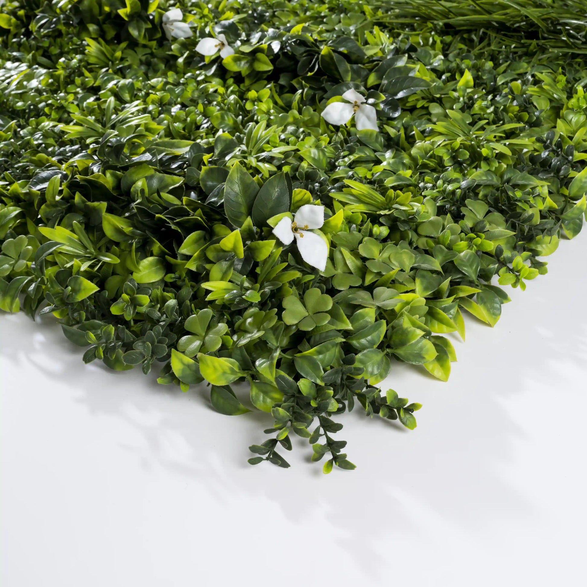 Liseron Blanc - mur végétal artificiel - Green Upp