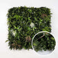 Savane - Green Upp