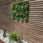 Savane - mur végéral artificiel - Green Upp