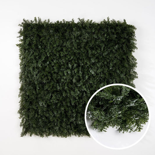 Thuya - Green Upp
